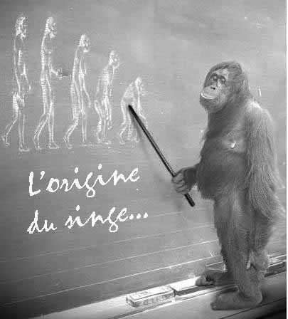 amour
