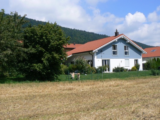ujtzh