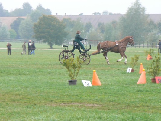 08.09.28 080  attelage.JPG