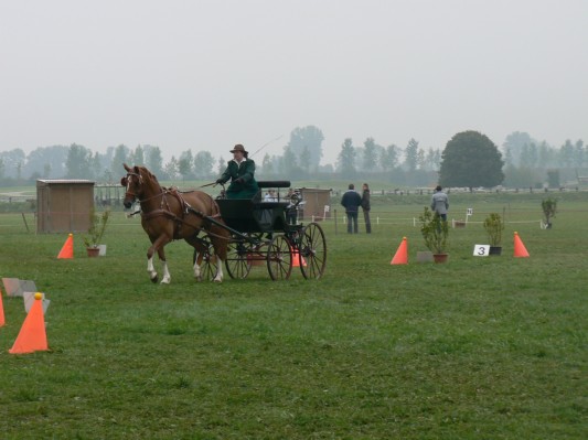 08.09.28 116  attelage.JPG