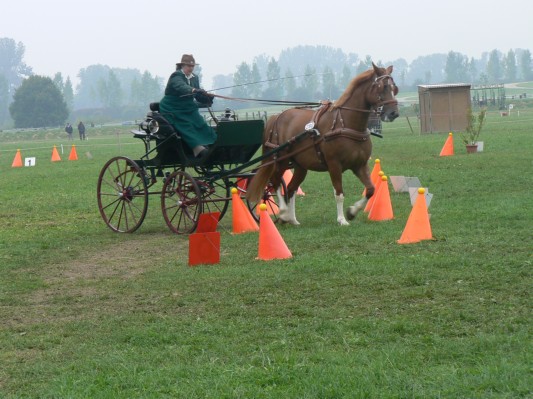 08.09.28 130  attelage.JPG