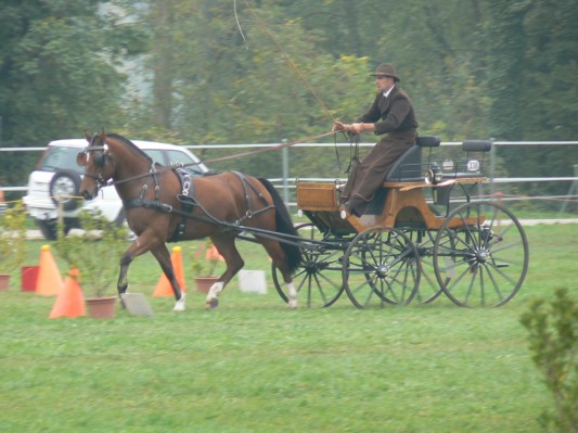 08.09.28 145  attelage.JPG