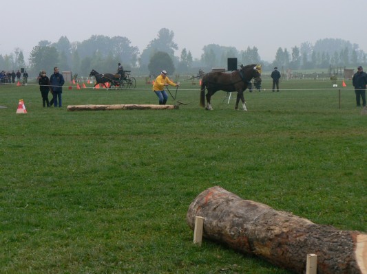 08.09.28 169  equi-débardage.JPG