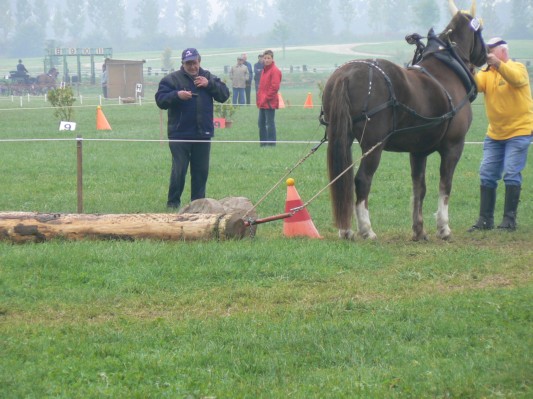 08.09.28 171  equi-débardage.JPG