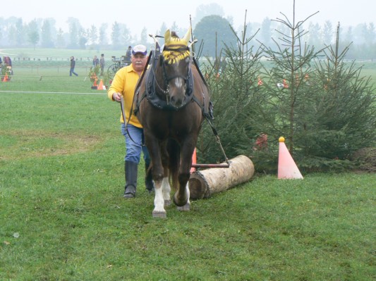 08.09.28 176  equi-débardage.JPG