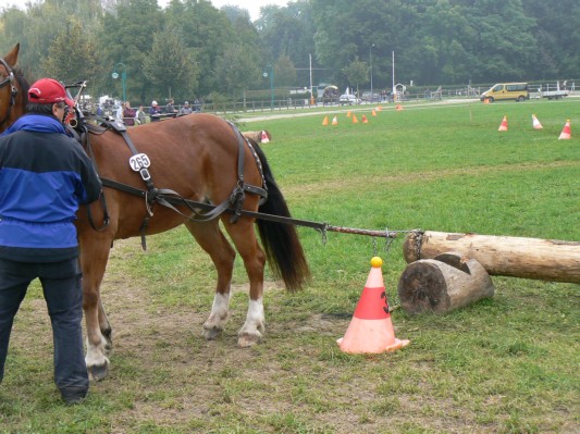 08.09.28 221  equi-débardage.JPG