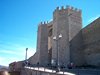 Morella