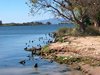 Delta de l'Ebre
