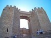 Morella