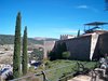 Morella