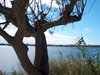 Delta de l'Ebre