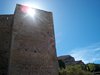 Morella