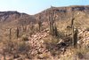 Désert de l'Arizona