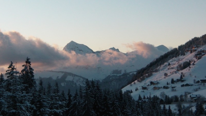 10.01.02 015.JPG