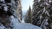 10.01.10 087 - Copie.JPG