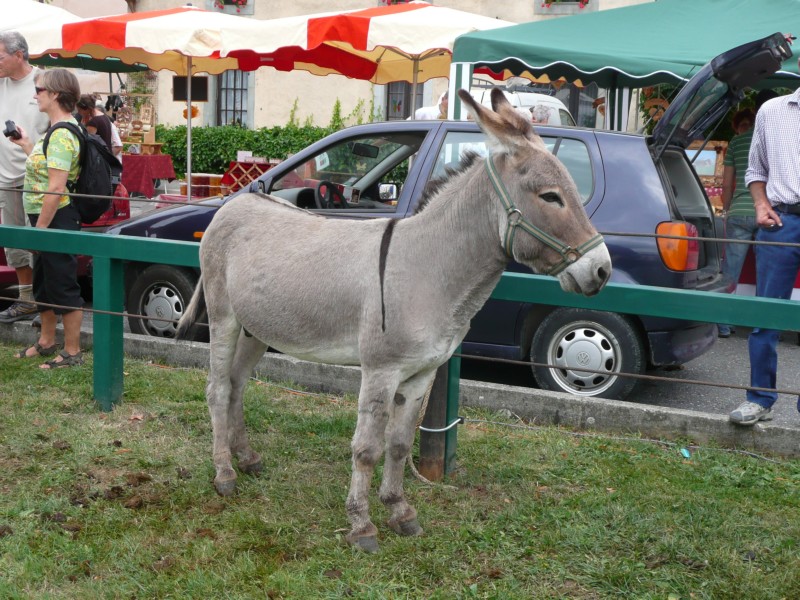09.08.08 45 Foire aux bestiaux de Fillinges.JPG