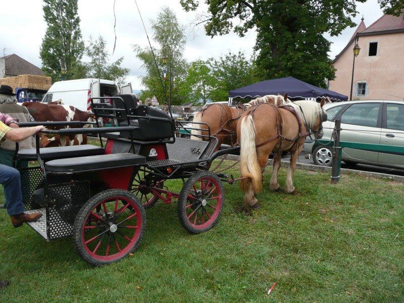 09.08.08 48 Foire aux bestiaux de Fillinges.JPG