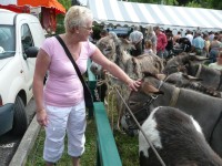 09.08.08 09 Foire aux bestiaux de Fillinges.JPG
