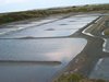 Marais de Guèrande