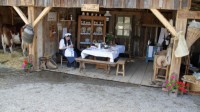 10.07.25 040 Vieilles mécaniques.JPG