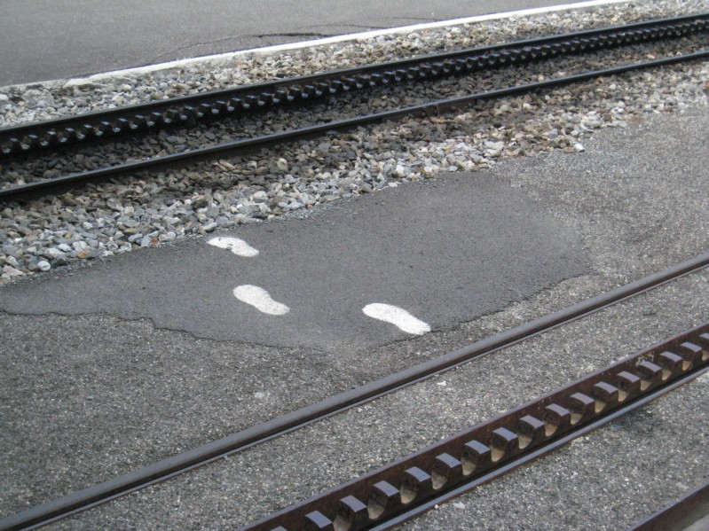 09.07.28 043 Le train à crémaillère du Montenvers.JPG